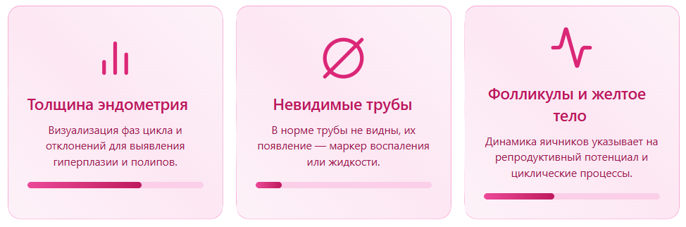 УЗИ органов малого таза