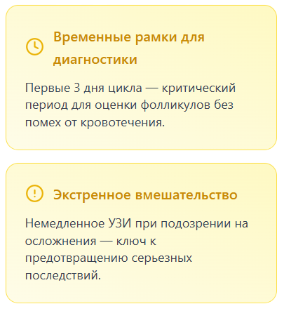 УЗИ в первые дни менструации